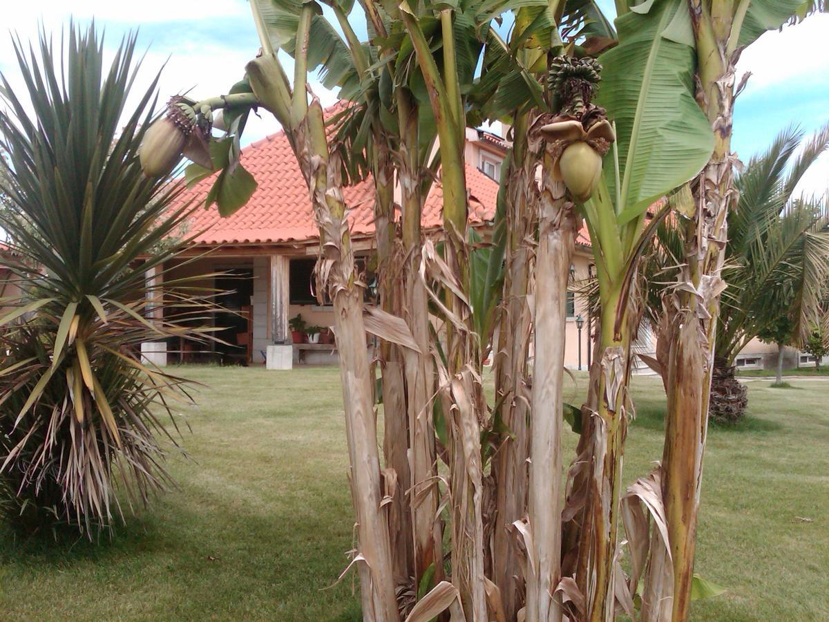 Casa Vale De Azibo Hotell Macedo de Cavaleiros Eksteriør bilde